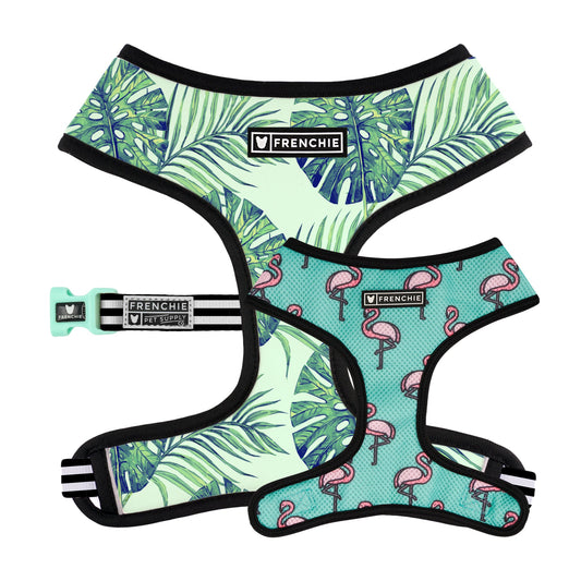 Frenchie Duo Reversible Harness - Beverly Palms- Green