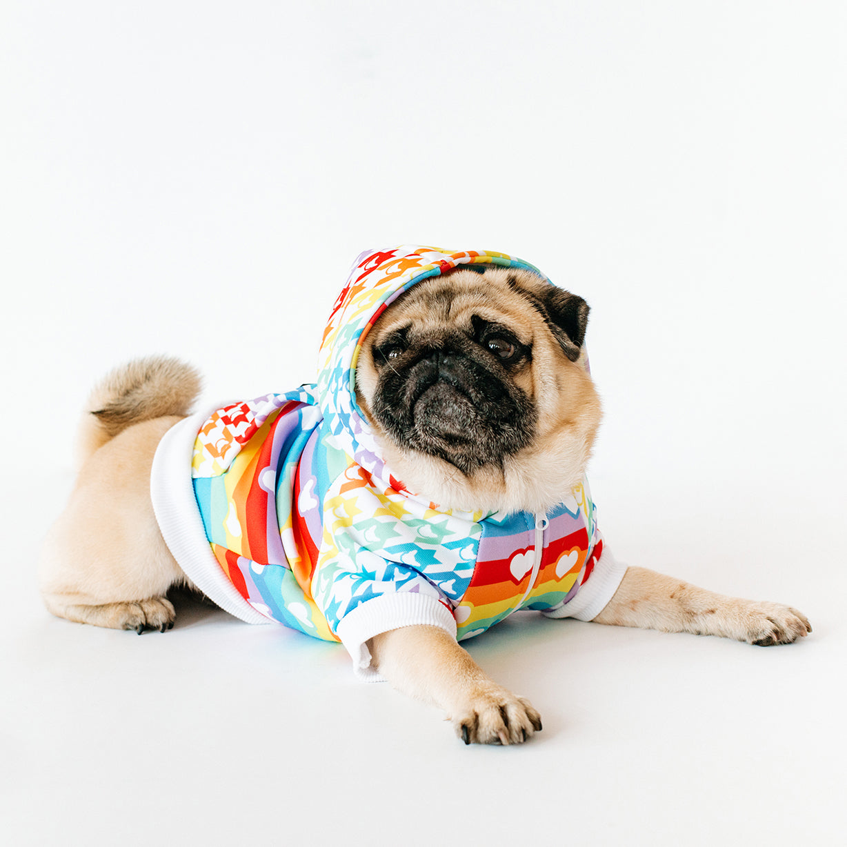 Frenchie Dog Hoodie - Pride