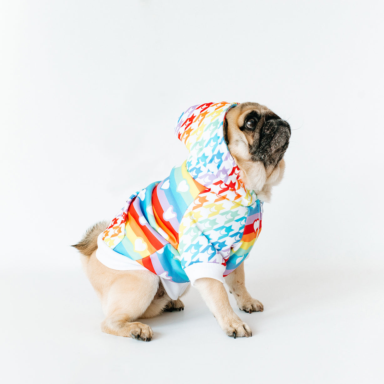 Frenchie Dog Hoodie - Pride