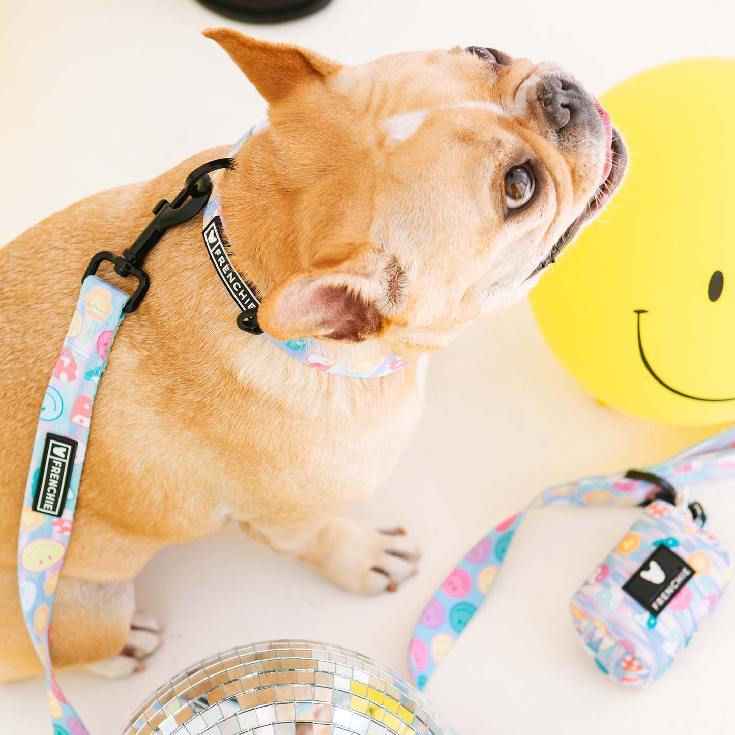 Frenchie Comfort Collar - Good Vibes