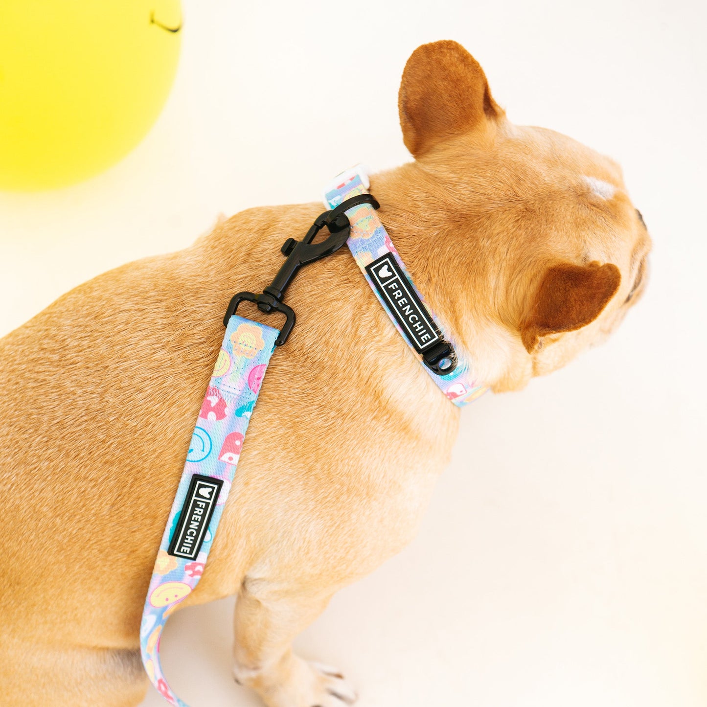 Frenchie Comfort Collar - Good Vibes