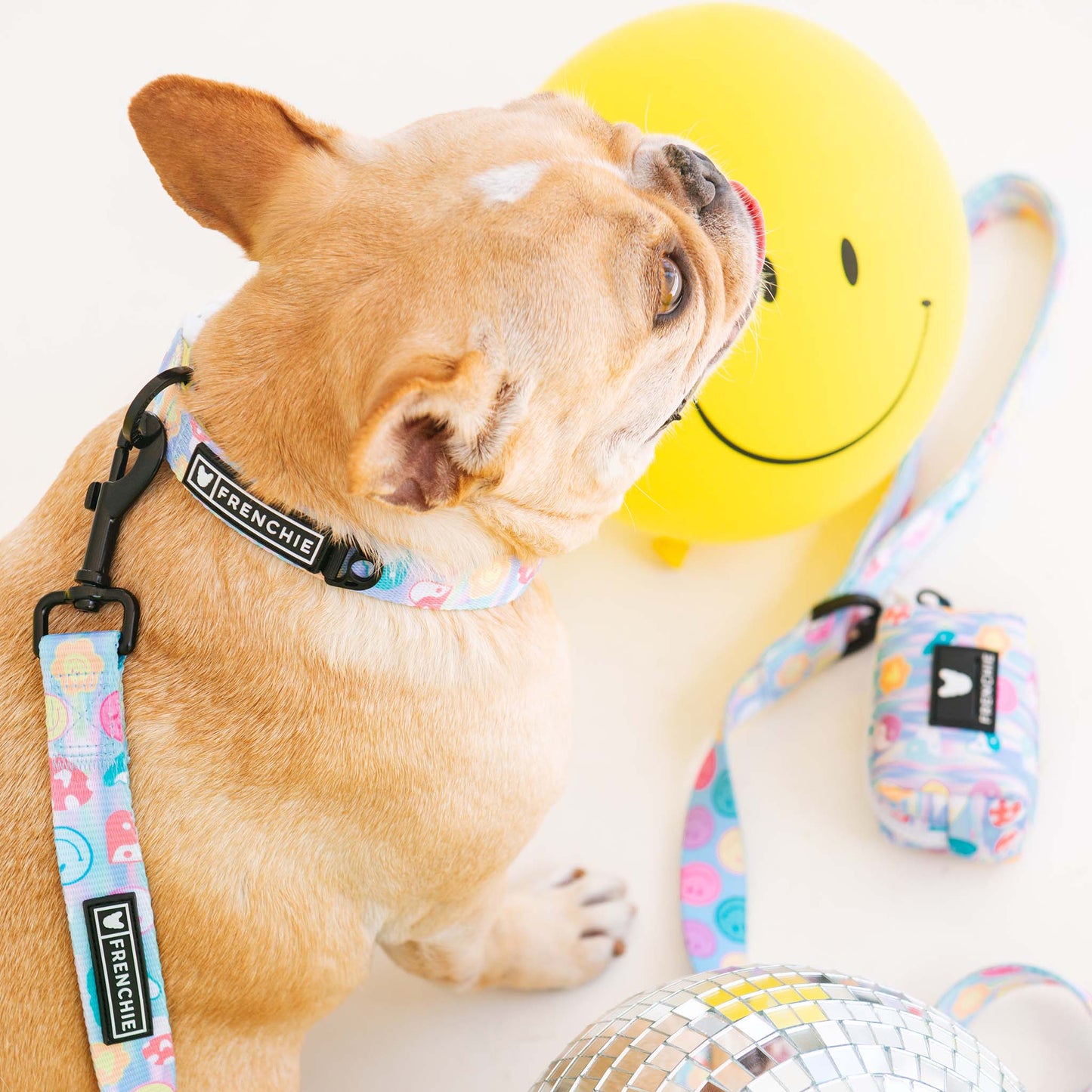 Frenchie Comfort Collar - Good Vibes