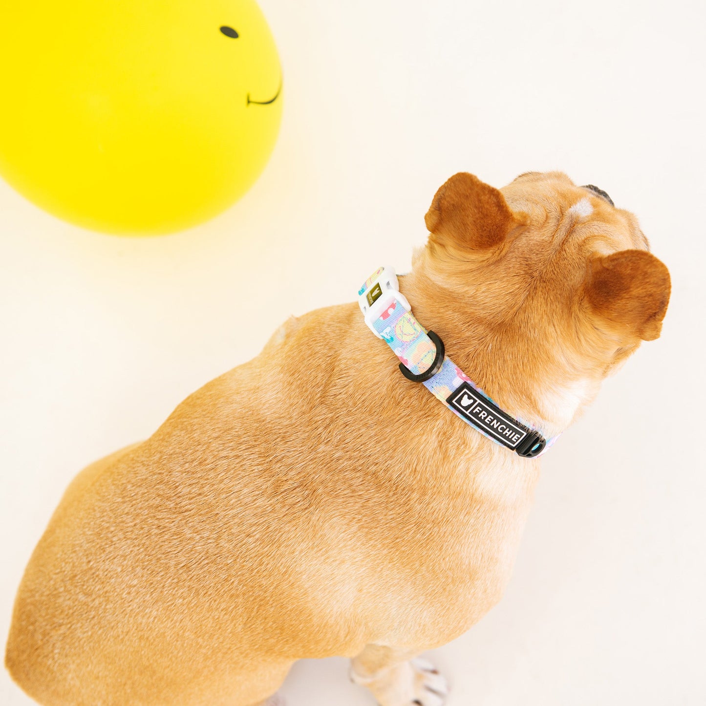 Frenchie Comfort Collar - Good Vibes