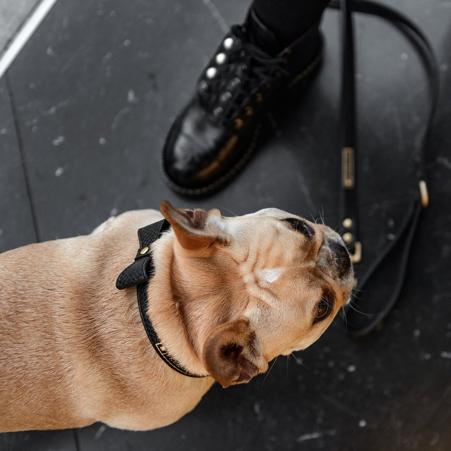 Vegan Leather- Black Croc