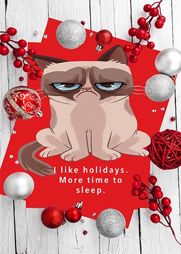 Holiday Grumpy Cat