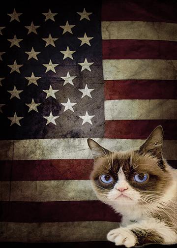 Grumpy Cat Flag