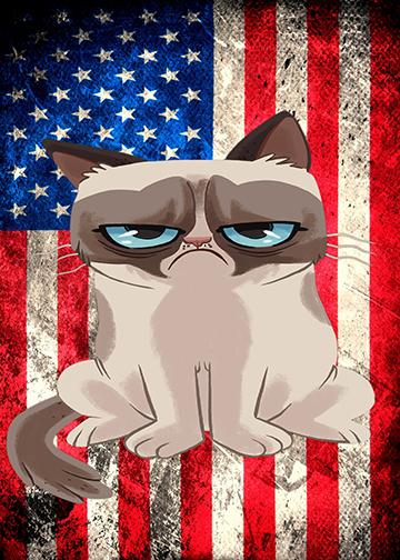 American Grumpy Cat