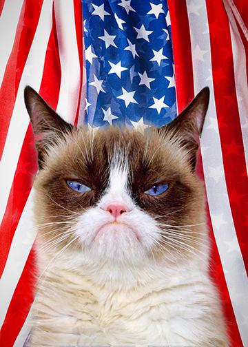 Famous Grumpy Cat