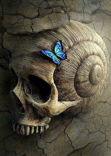 Skull with Blue Butterfly