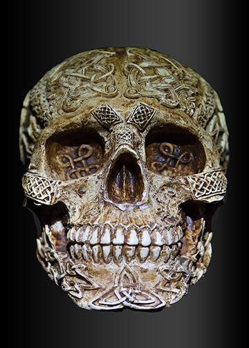 Lifelike Skull