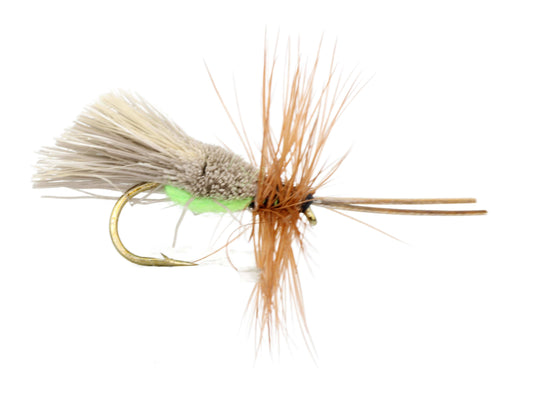 Goddard Caddis with Chartreuse Underside, Size 12 | Qty. 6 | Wild Water Fly Fishing