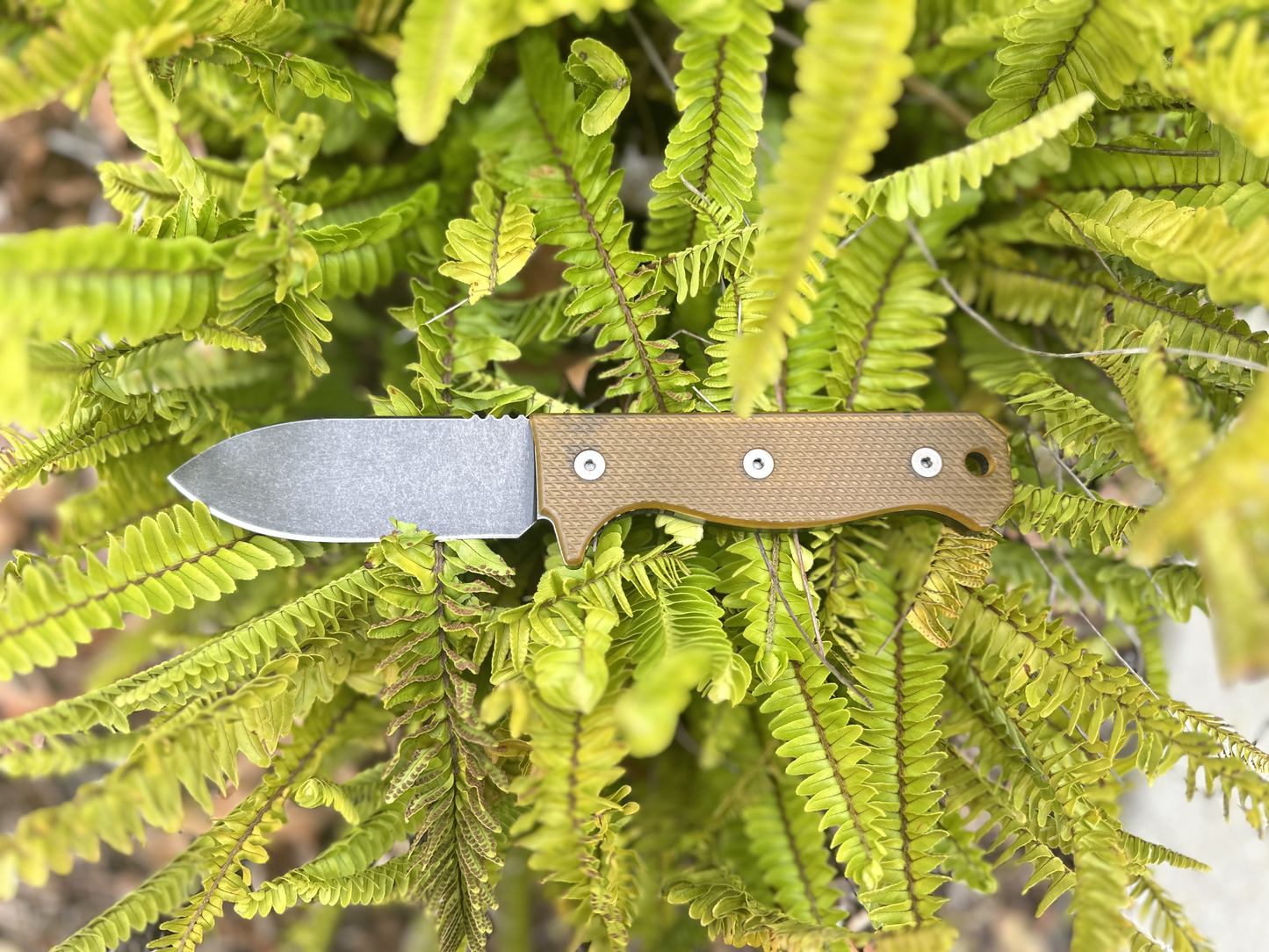 R4A - Ready 4 Action Knife / D2 Fixed Blade ( Ultem® Scales ) 🔥 New Batch 2 🔥