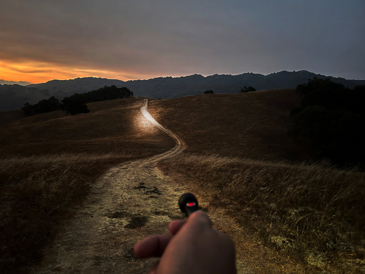 Organic Gray Peanut - Beast LED Flashlight Kit! ( Limited Edition )