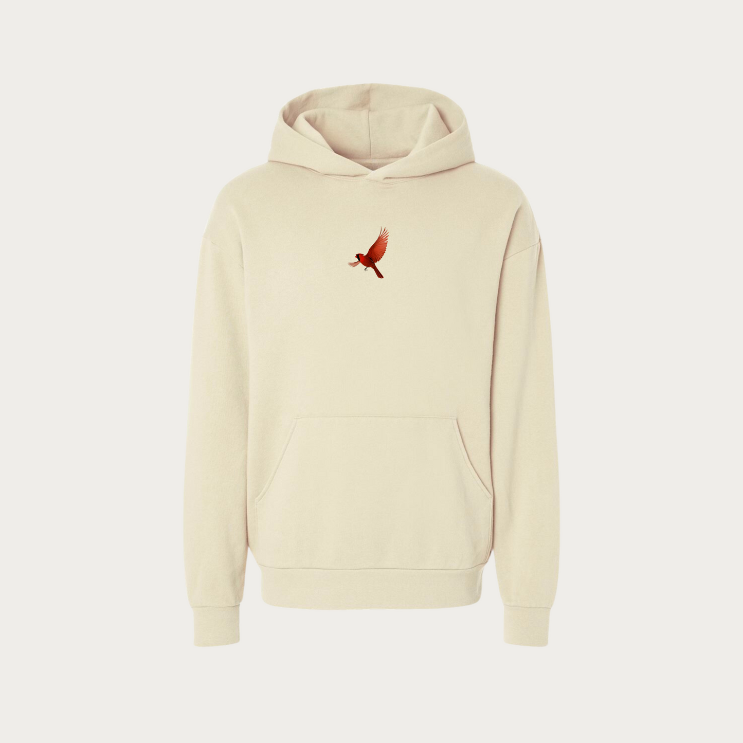 Take Flight Oversized Hoodie