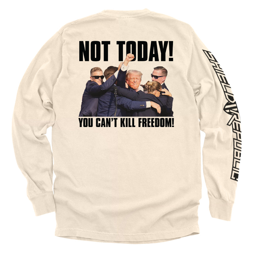 You Can't Kill Freedom