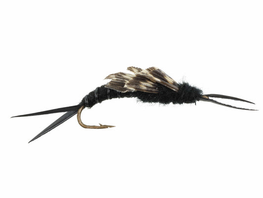 Kaufman Stonefly, Size 8 | Qty. 6 | Wild Water Fly Fishing