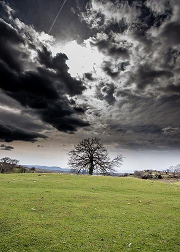 Ominous Sky