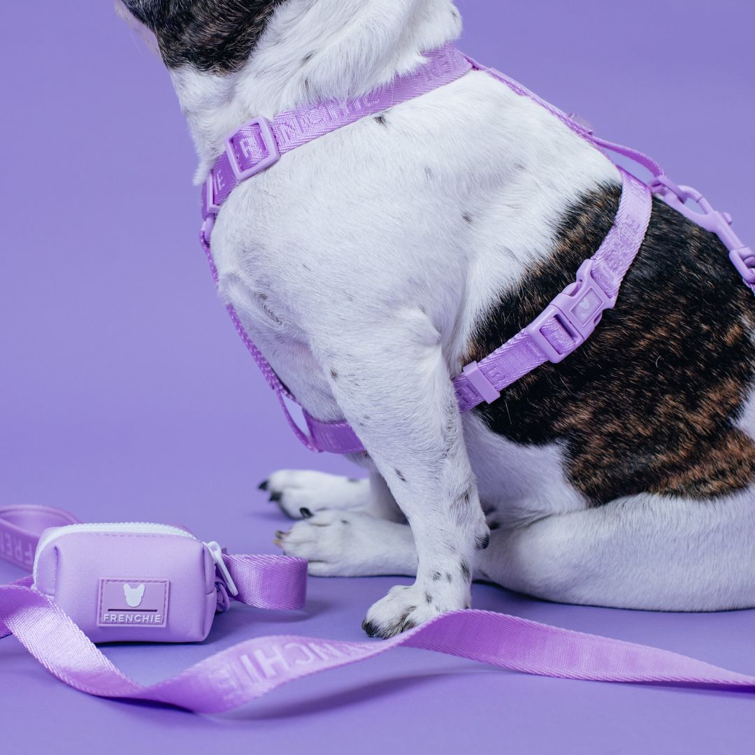 Frenchie Strap Harness - Lavender