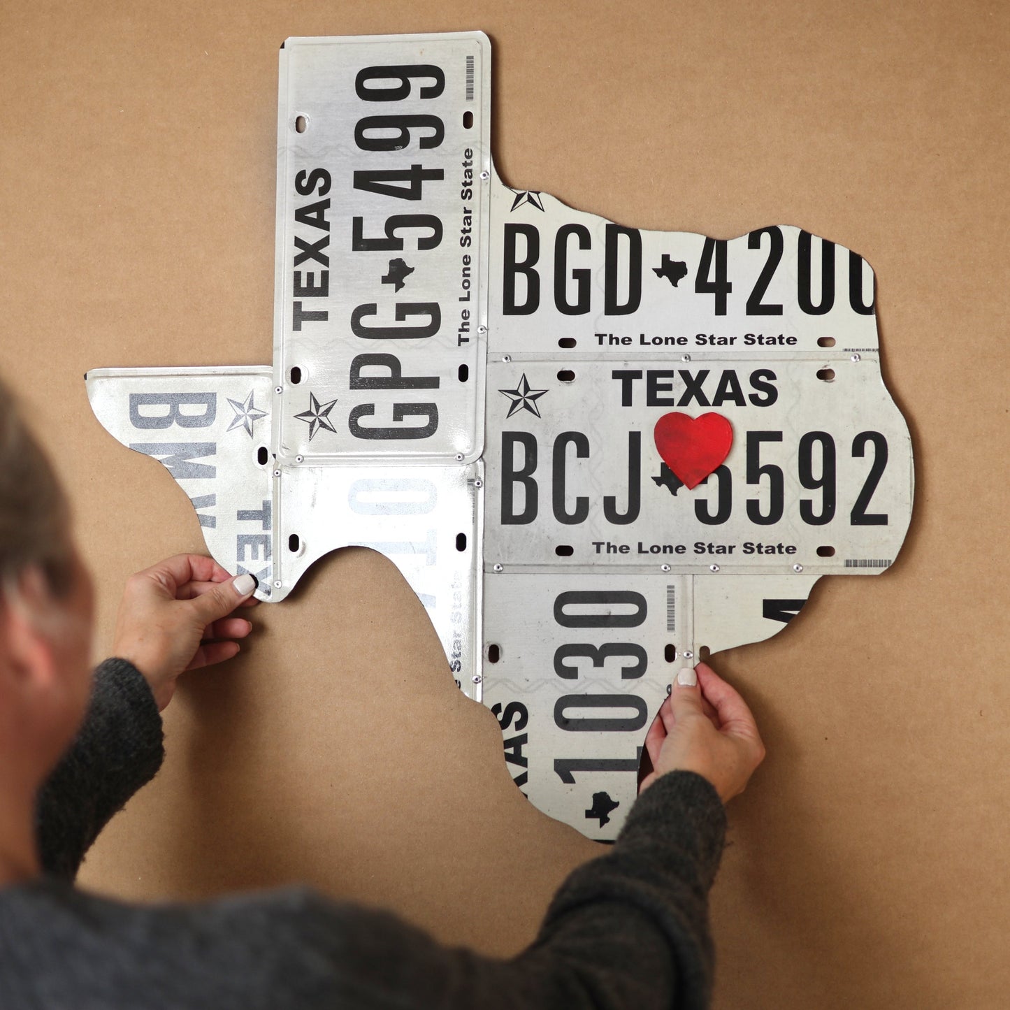 License Plate State Art