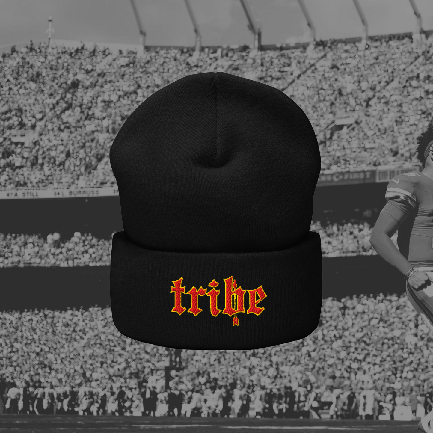 Away Tribe Cuffed Beanie