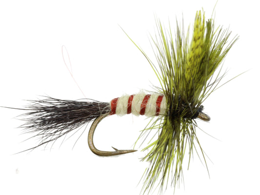 Eastern Drake, Size 12 | Olive | Qty. 6 | Wild Water Fly Fishing