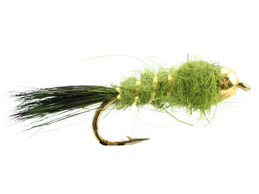 Bead Head Flashback Nymph, Size 12 | Olive | Qty. 6 | Wild Water Fly Fishing