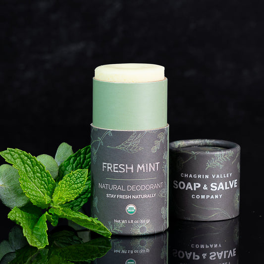 Deodorant: Stick Fresh Mint