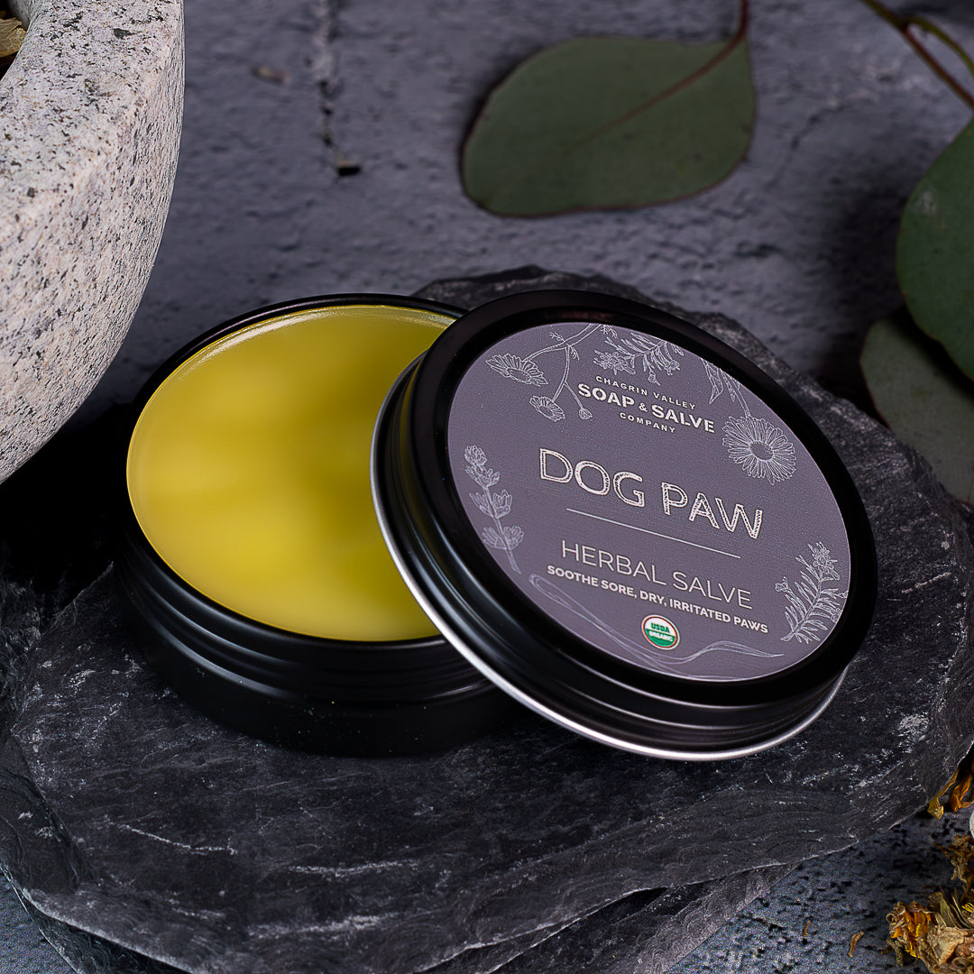 Salve: Dog Paw