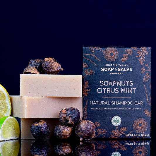 Shampoo Bar: Soapnuts Citrus Mint