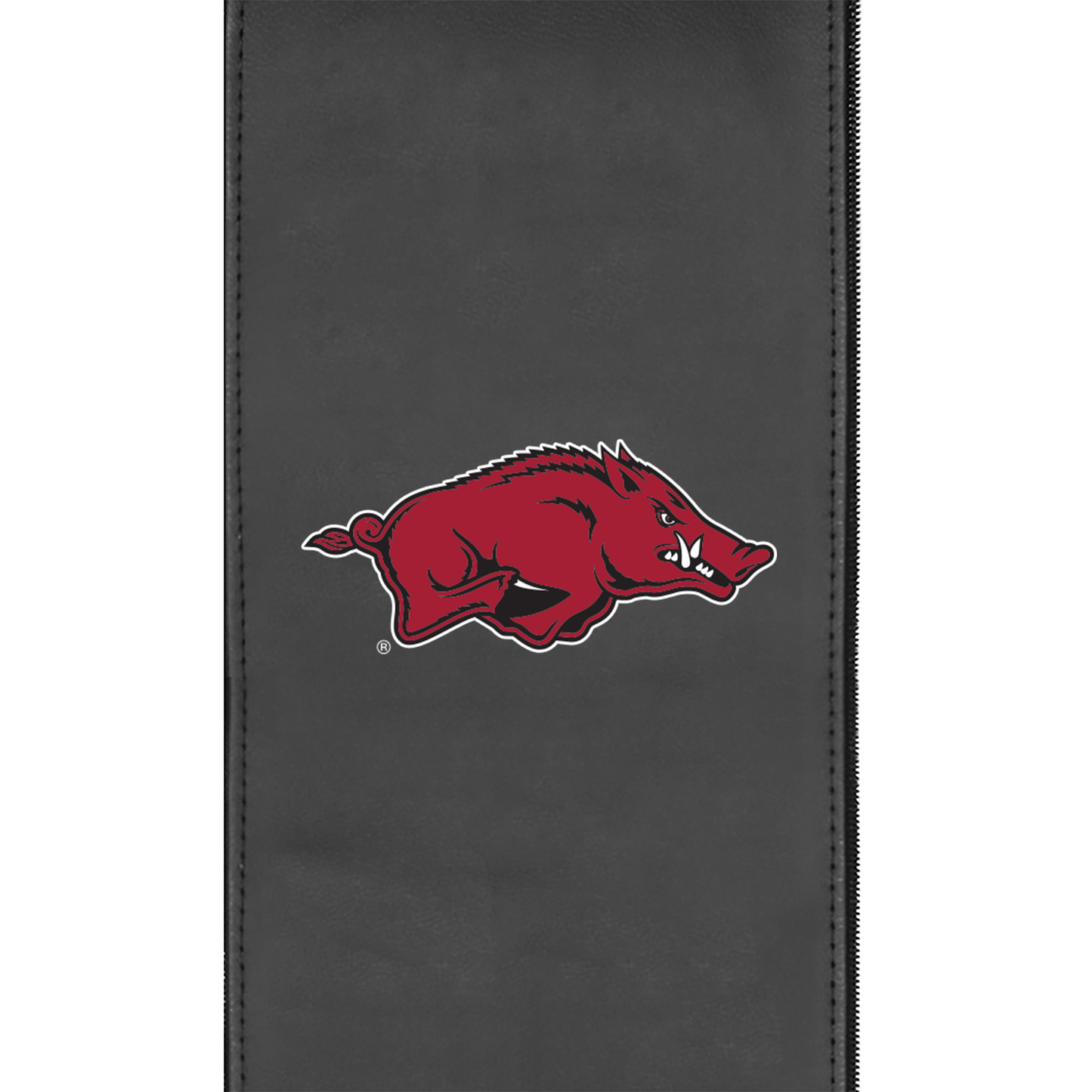 Arkansas Razorbacks Logo Panel