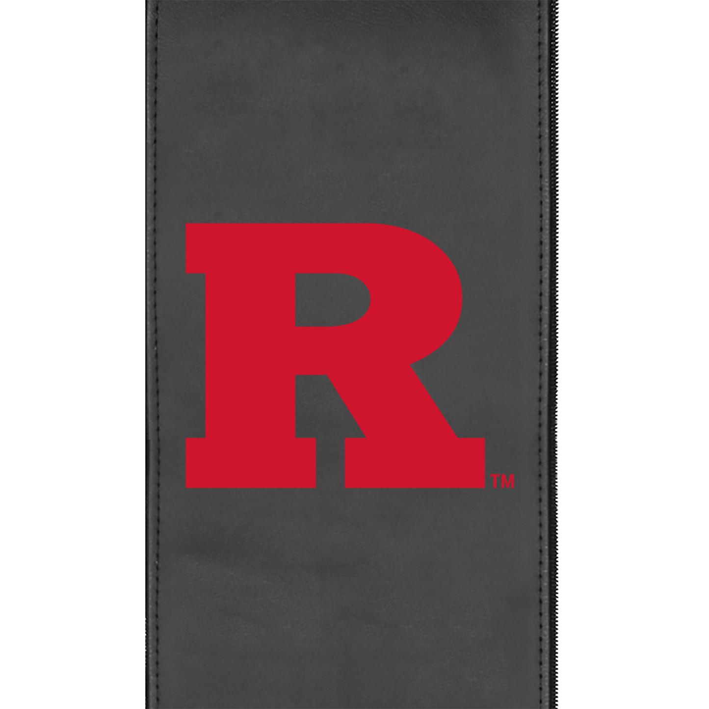 Rutgers Scarlet Knights Logo Panel