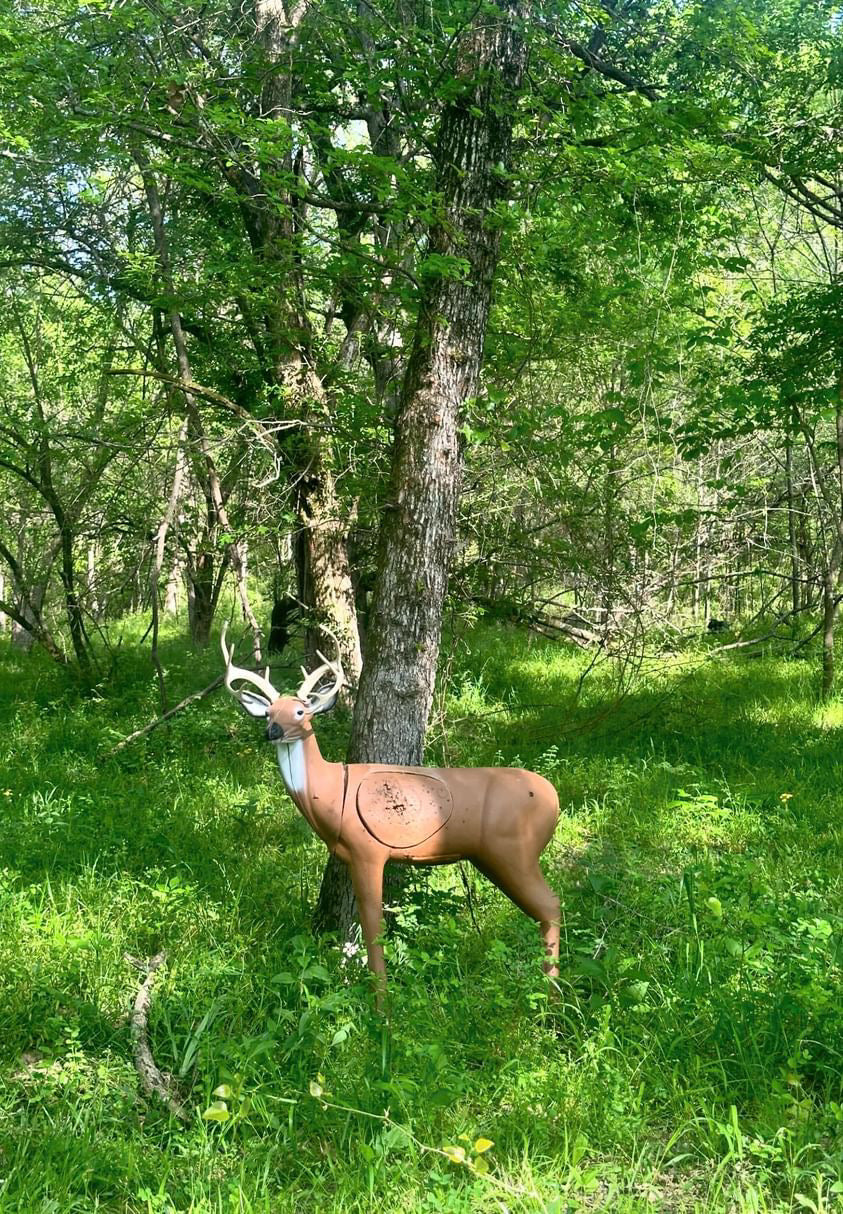 Pro Hunter Double Duty Buck Archery Target