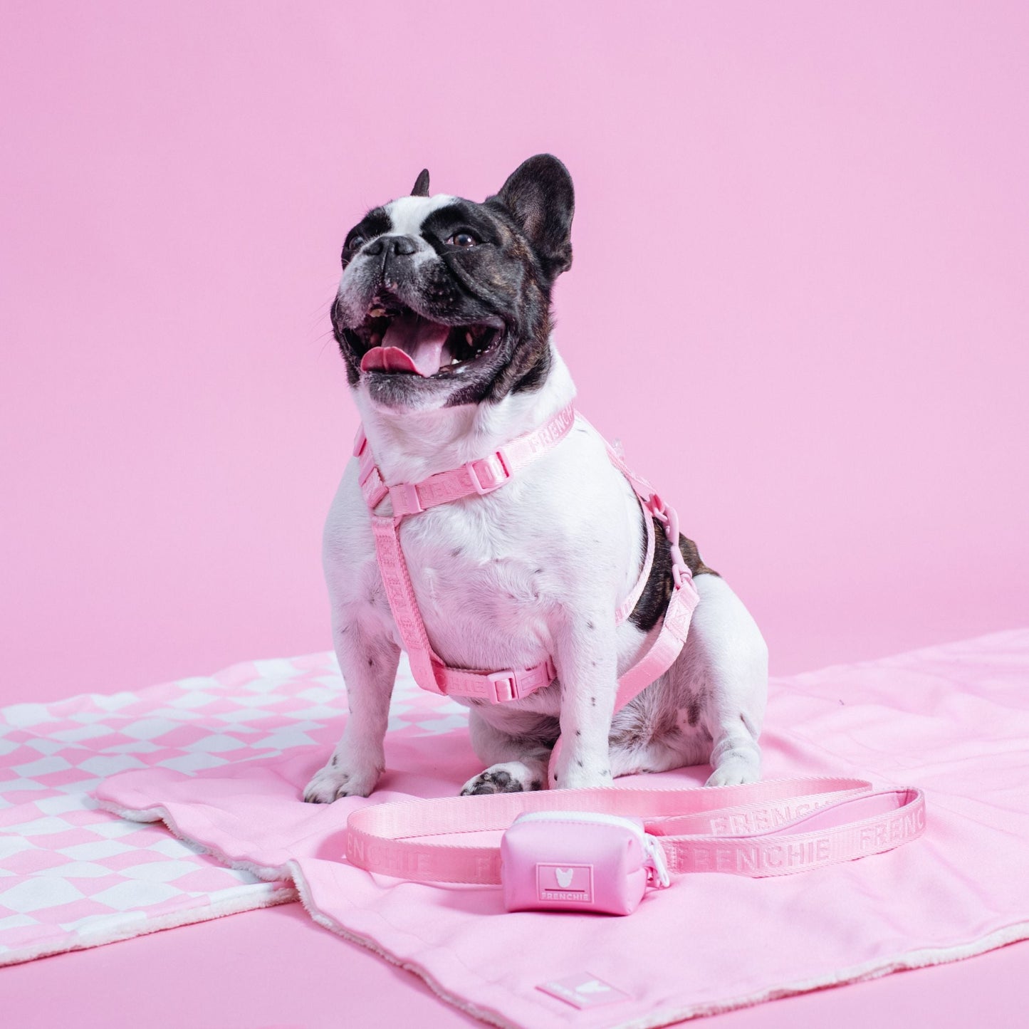 Frenchie Strap Harness - Pink Bubblegum