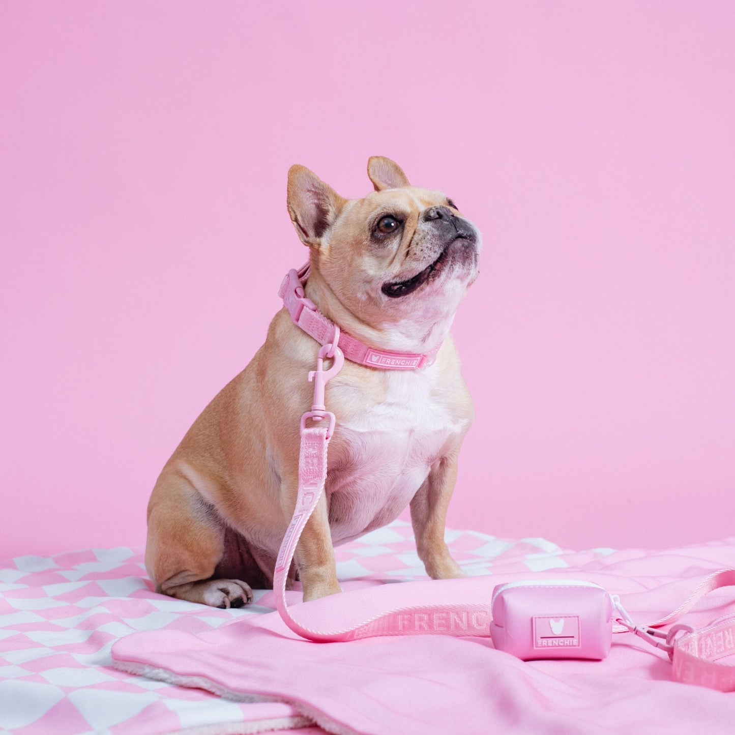 Frenchie Comfort Collar - Pink Bubblegum