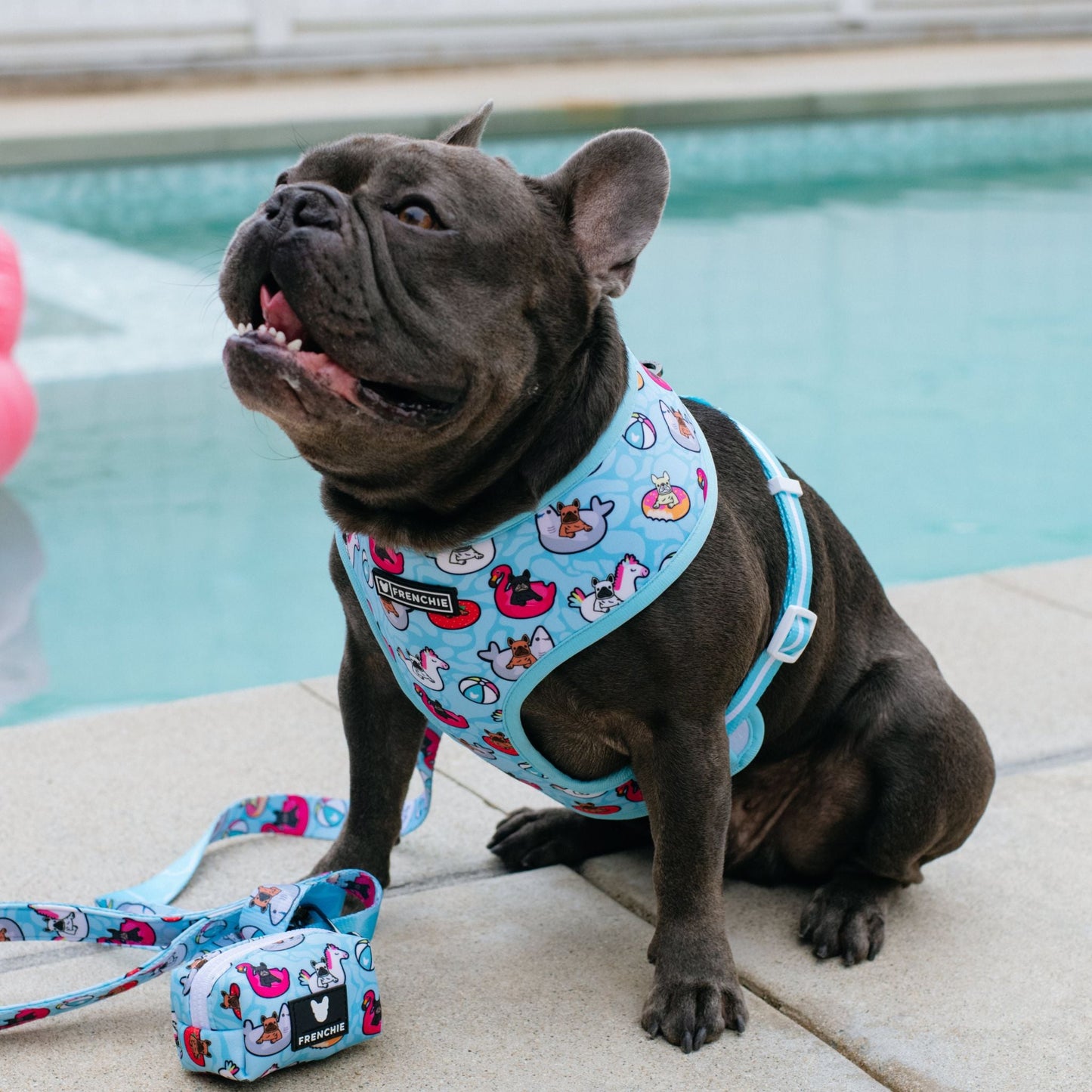 Frenchie Duo Reversible Harness - Pool Party