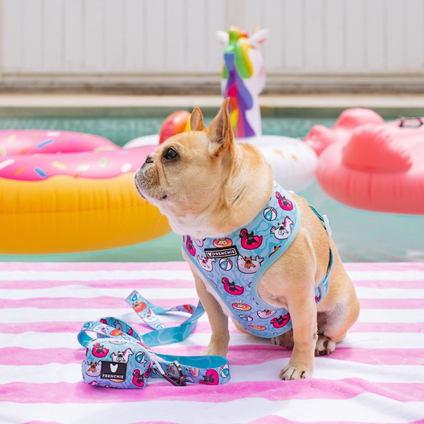 Frenchie Duo Reversible Harness - Pool Party