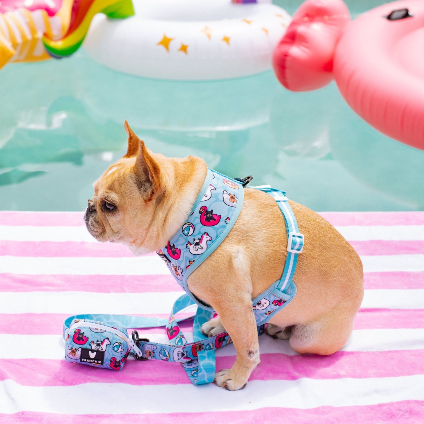 Frenchie Duo Reversible Harness - Pool Party