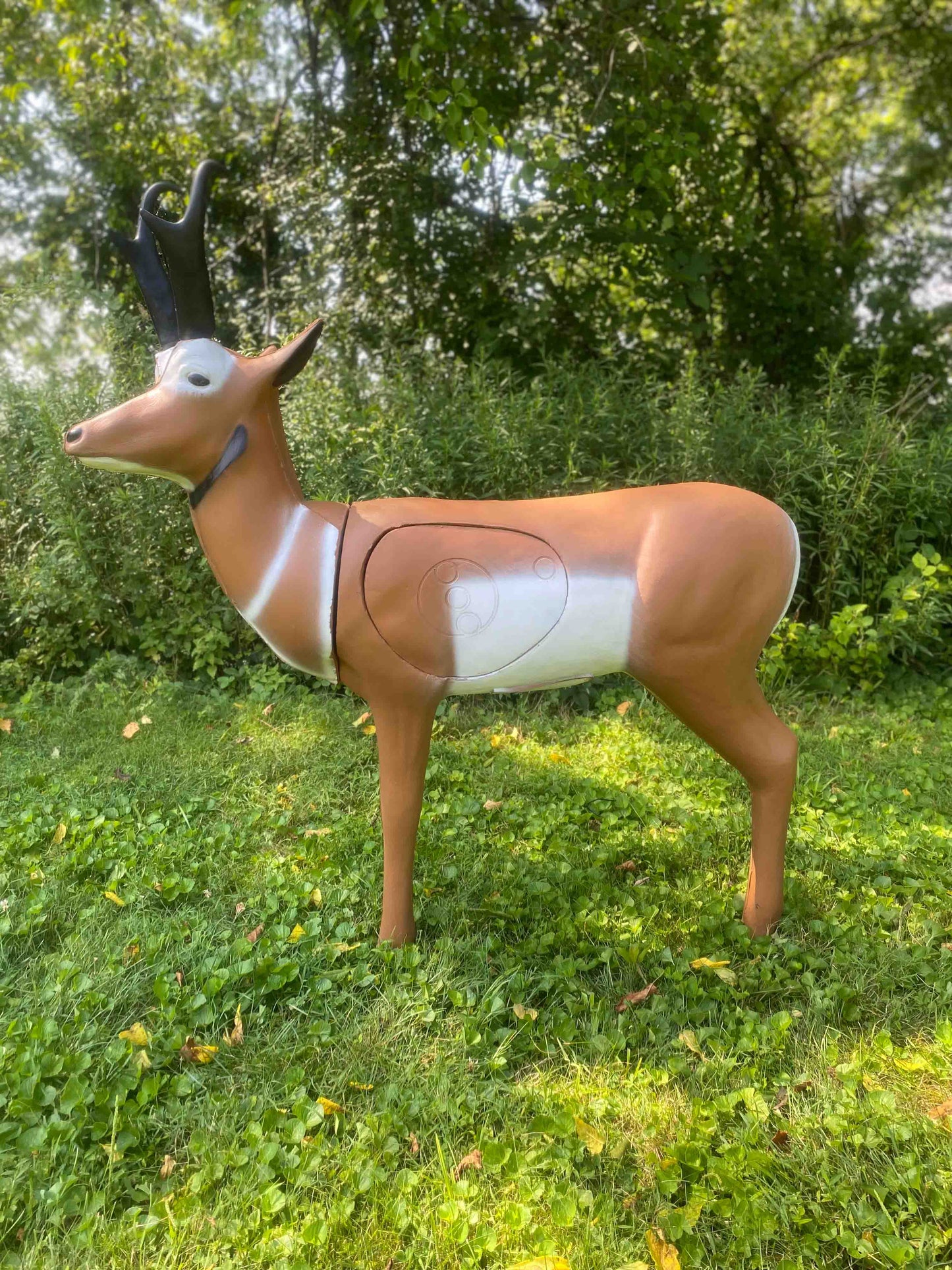 Real Wild 3D Pronghorn Antelope Archery Target with EZ Pull Foam