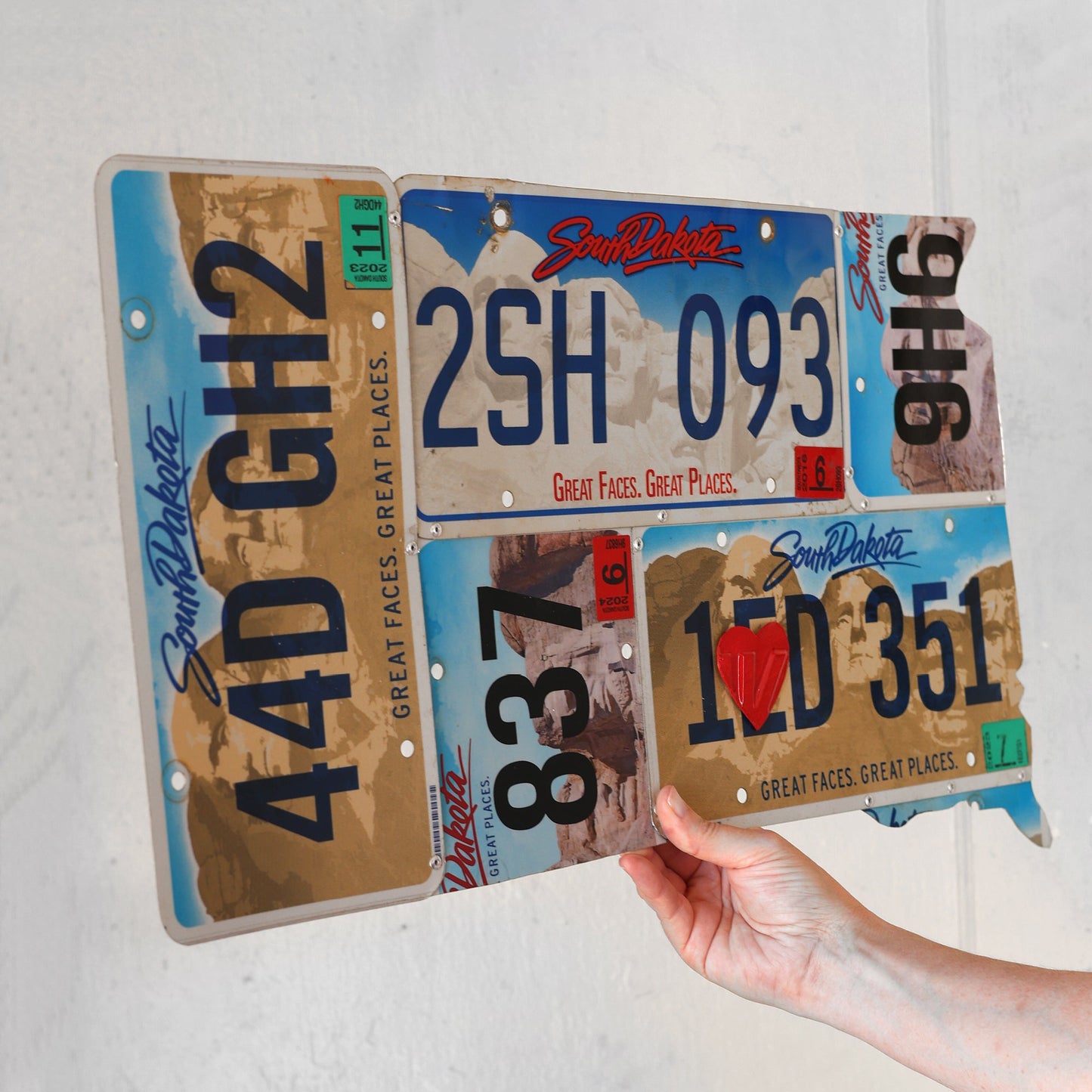 License Plate State Art