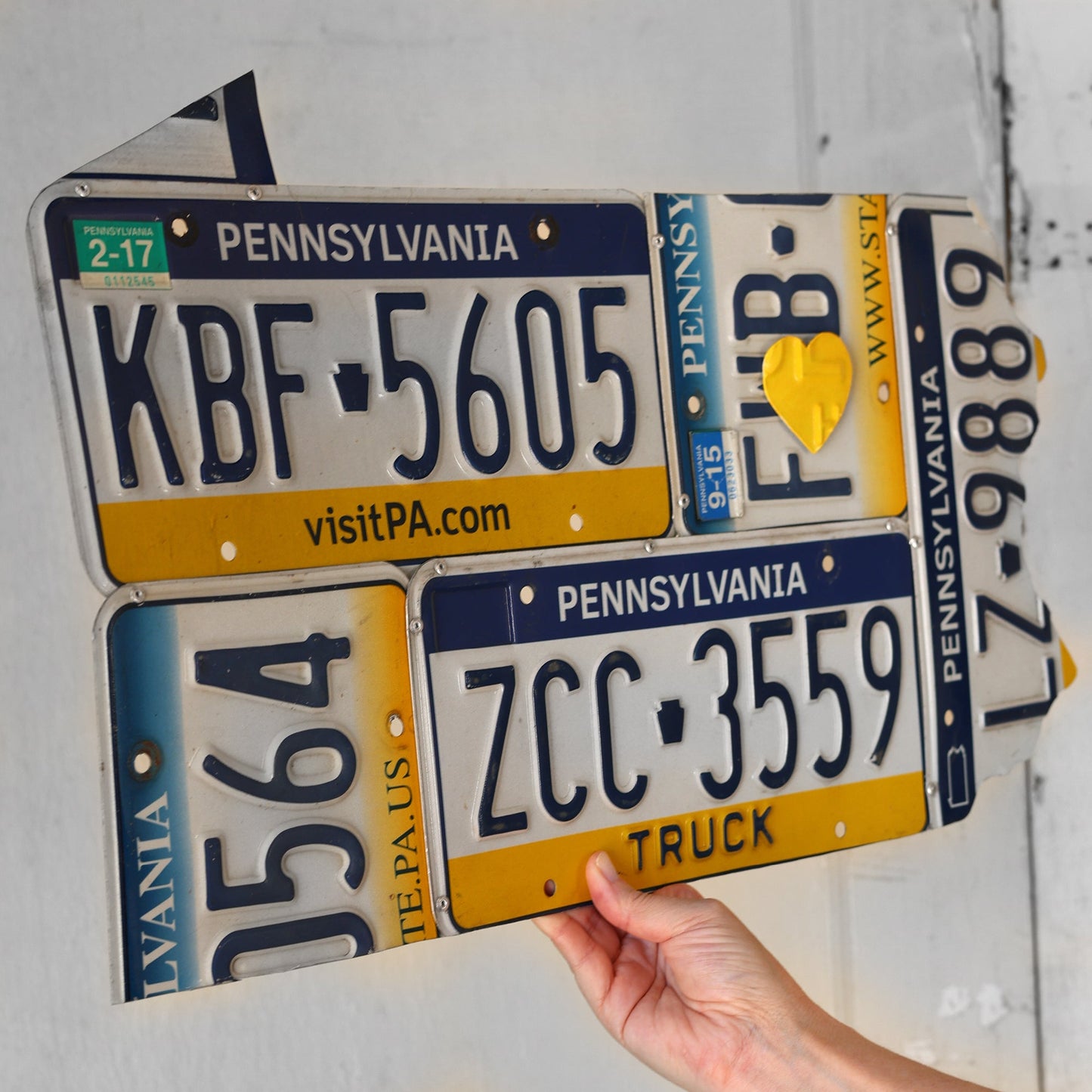 License Plate State Art