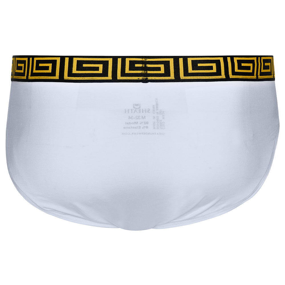 SHEATH Men's Dual Pouch Briefs