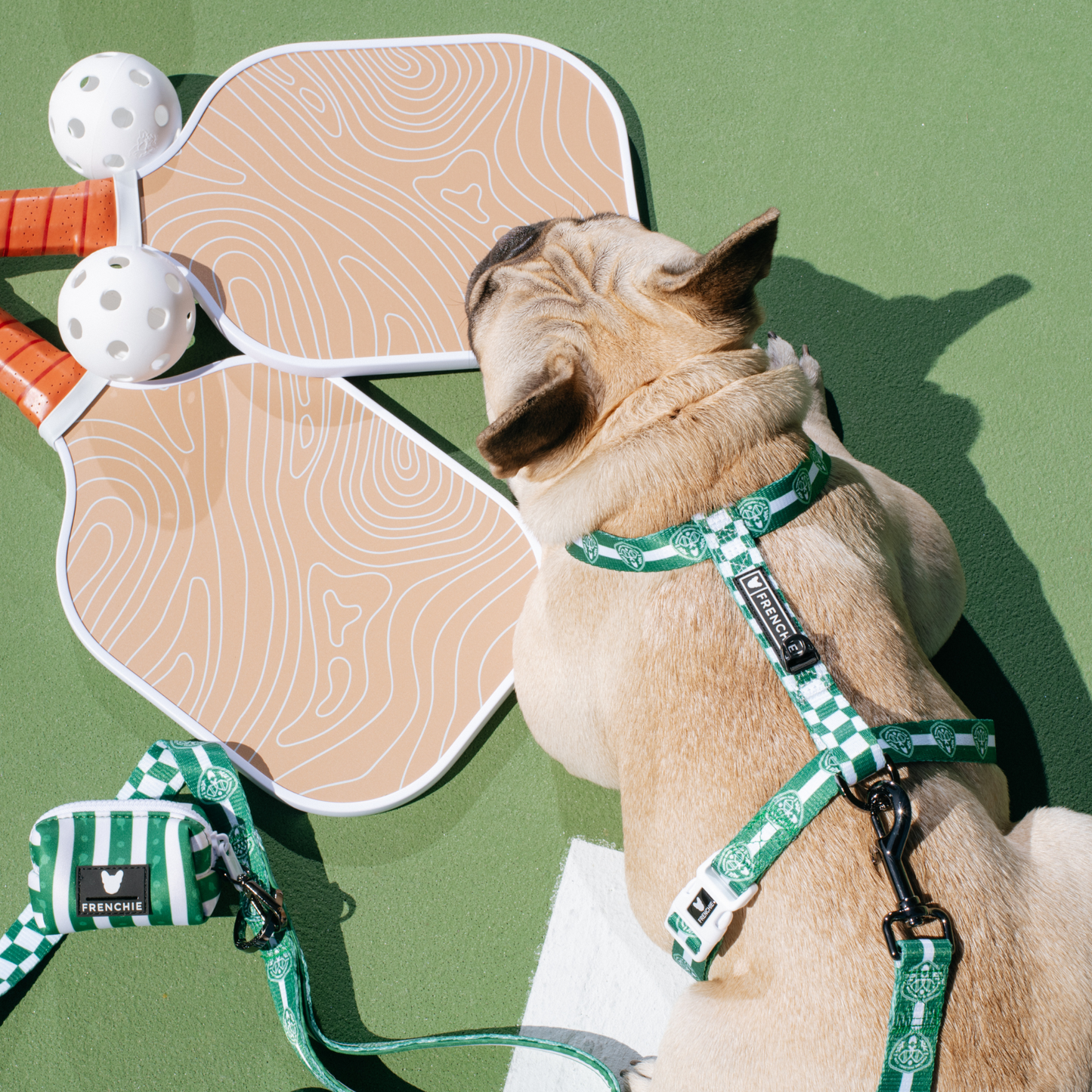 Frenchie Strap Harness - Pickleball