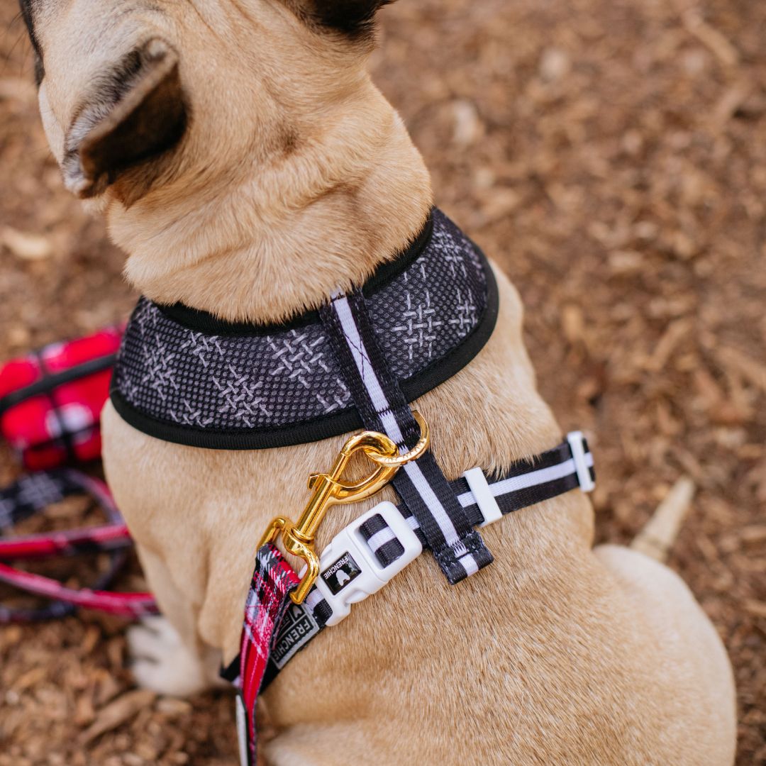 Frenchie Duo Reversible Harness - Scarlet Plaid