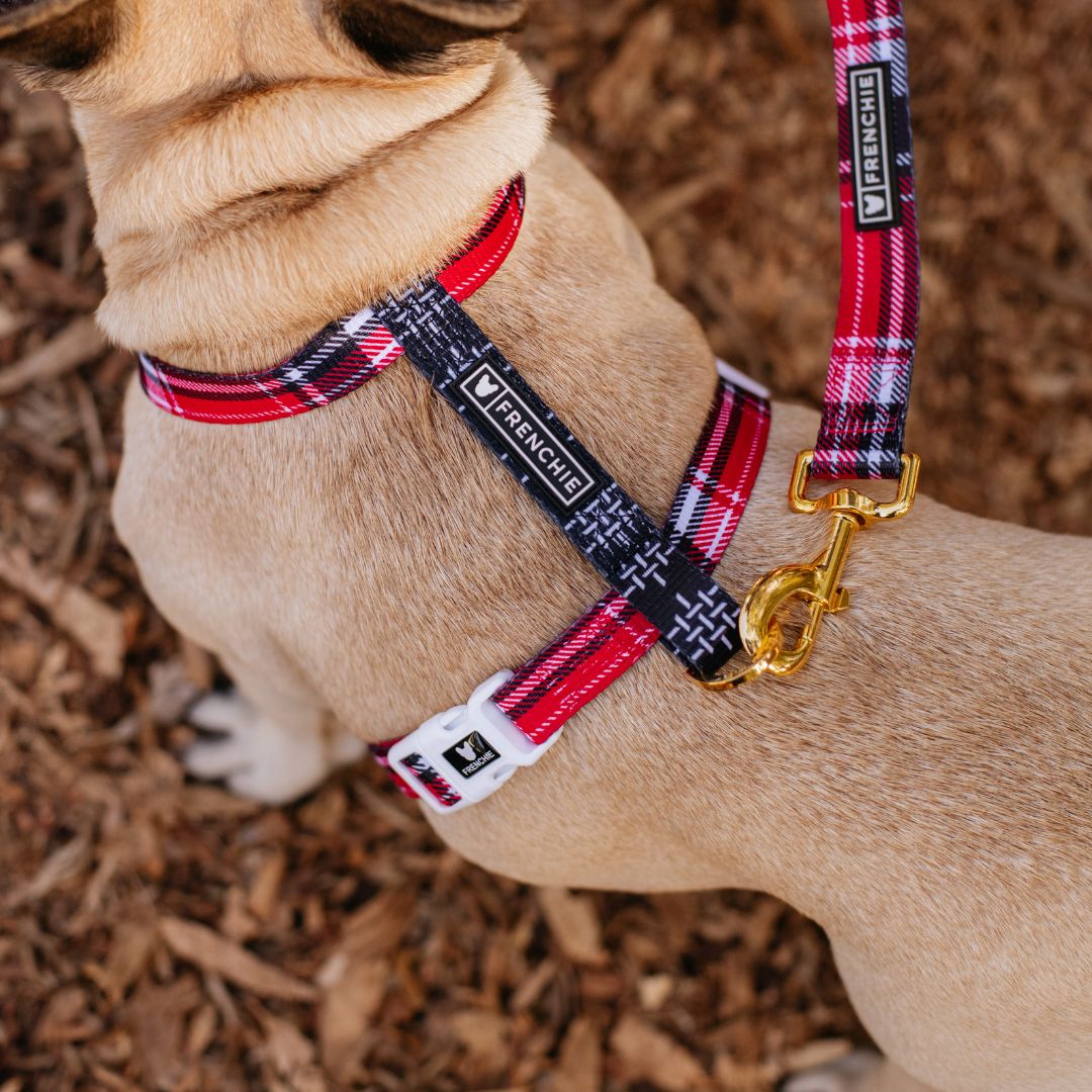 Frenchie Strap Harness - Scarlet Plaid