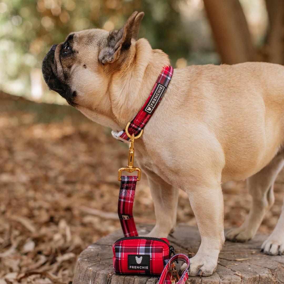 Frenchie Comfort Collar - Scarlet Plaid