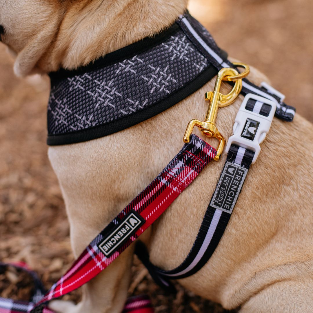 Frenchie Duo Reversible Harness - Scarlet Plaid