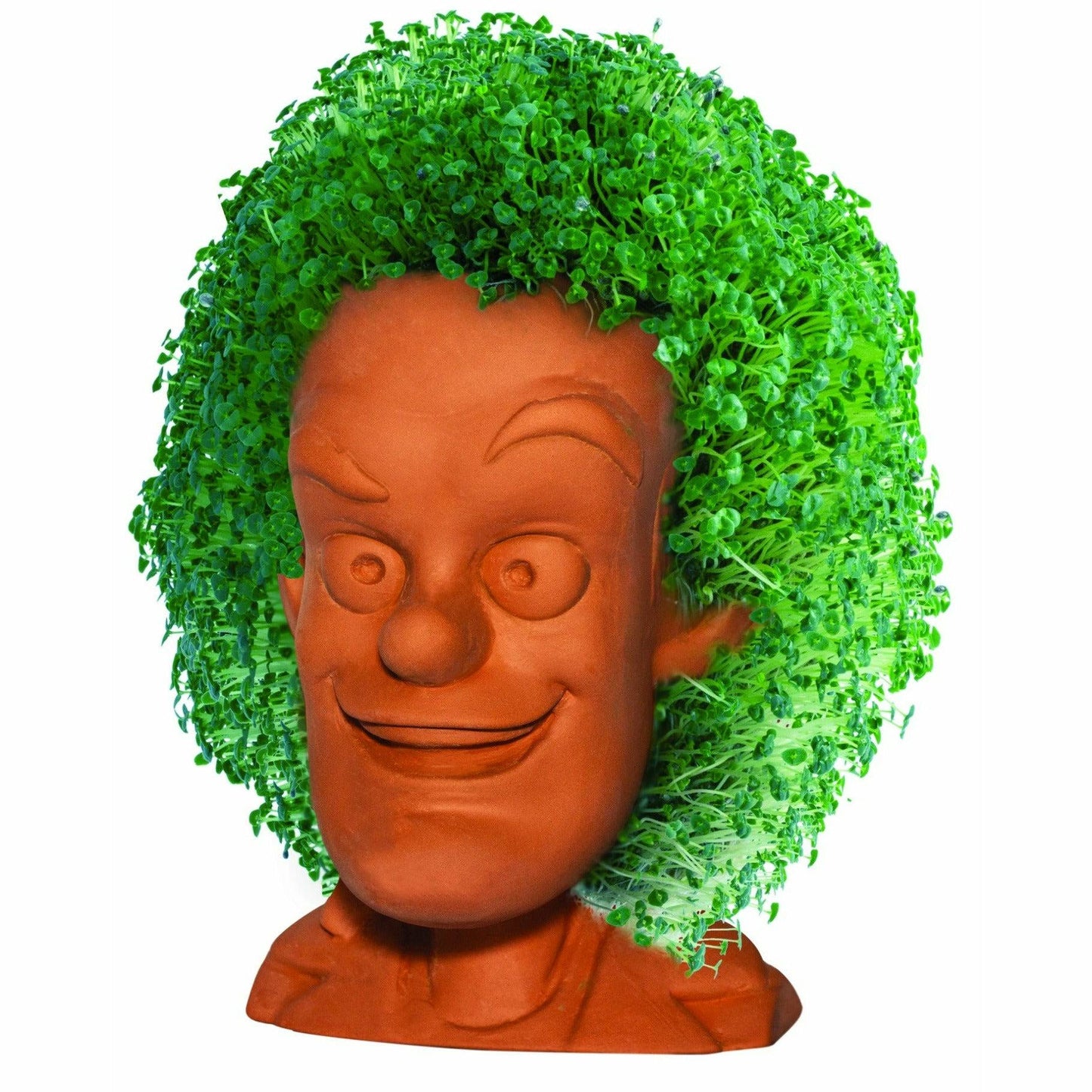 Back to the Future - The Animated Series: Doc Brown Chia Pet