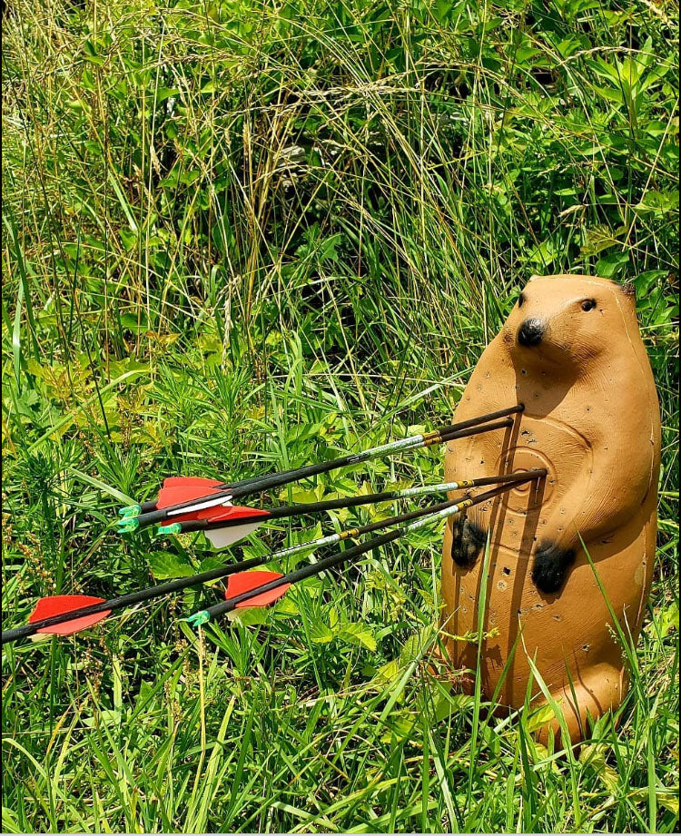 Real Wild 3D Standing Groundhog Archery Target with EZ Pull Foam