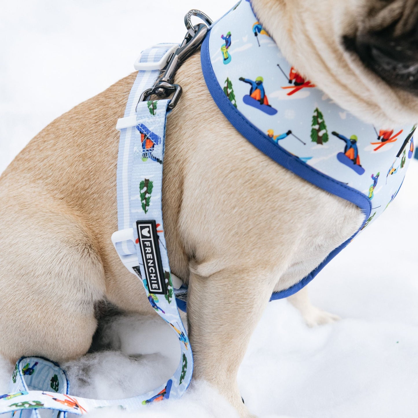 Frenchie Duo Reversible Harness - Ski Club