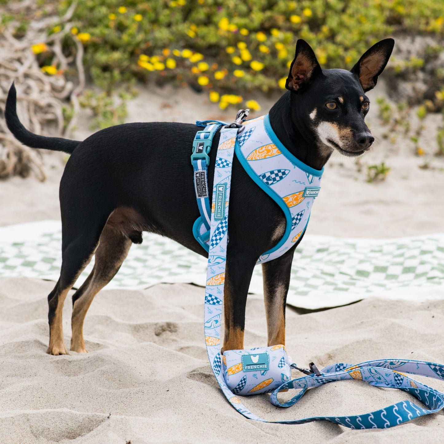 Frenchie Duo Reversible Harness - Surfboard